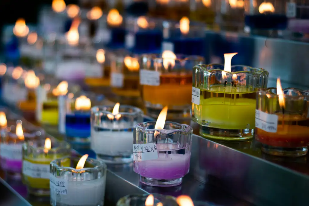 釜山三天兩夜玩翻天：讓你愛上韓國第二大城