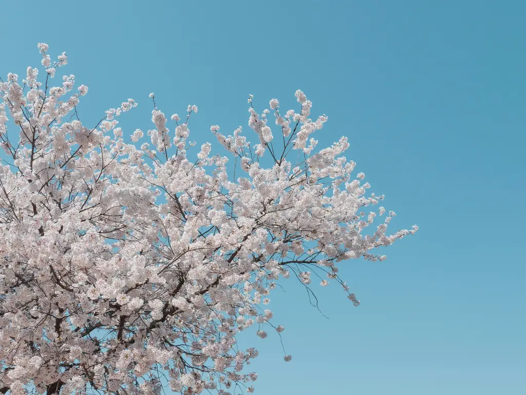 走進釜山光復路：韓國獨立的搖籃