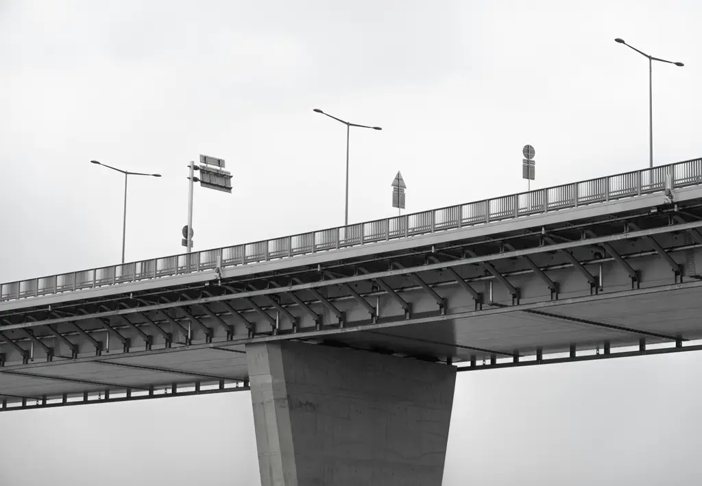 釜山櫻花季，粉紅浪漫的南韓春遊必選