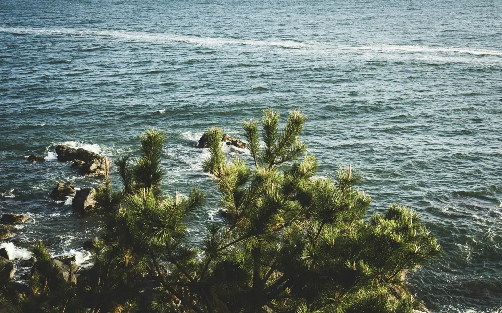 釜山：台灣人攻略南韓第二大城的完整指南