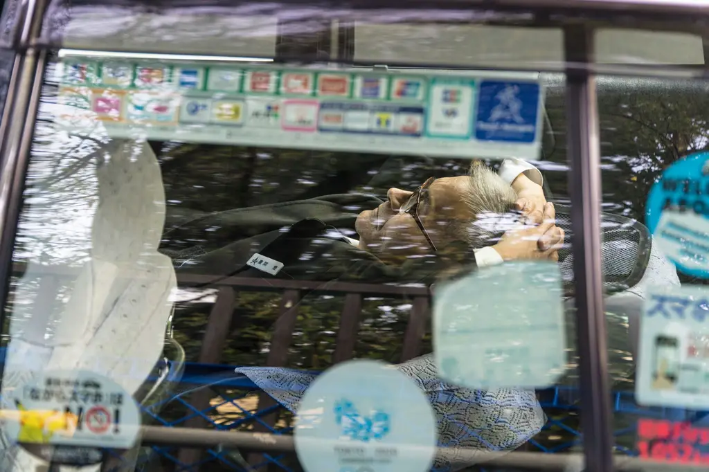 釜山周邊深度攻略：5大必訪景點，盡覽海港魅力！