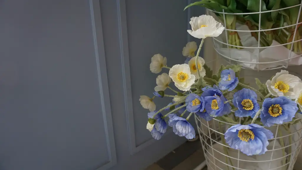 釜山四日遊：徹底探索台灣人最愛的韓國第二大城