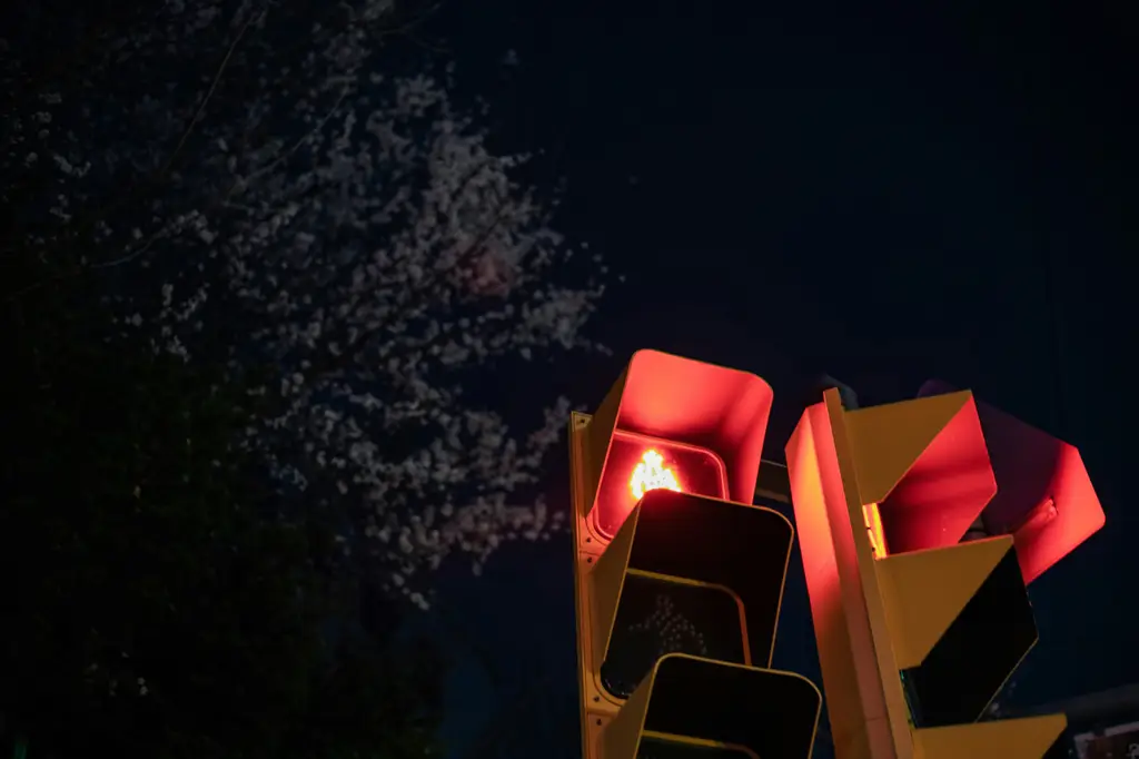 可樂暢遊韓國釜山：一次喝遍文化與美景的冒險