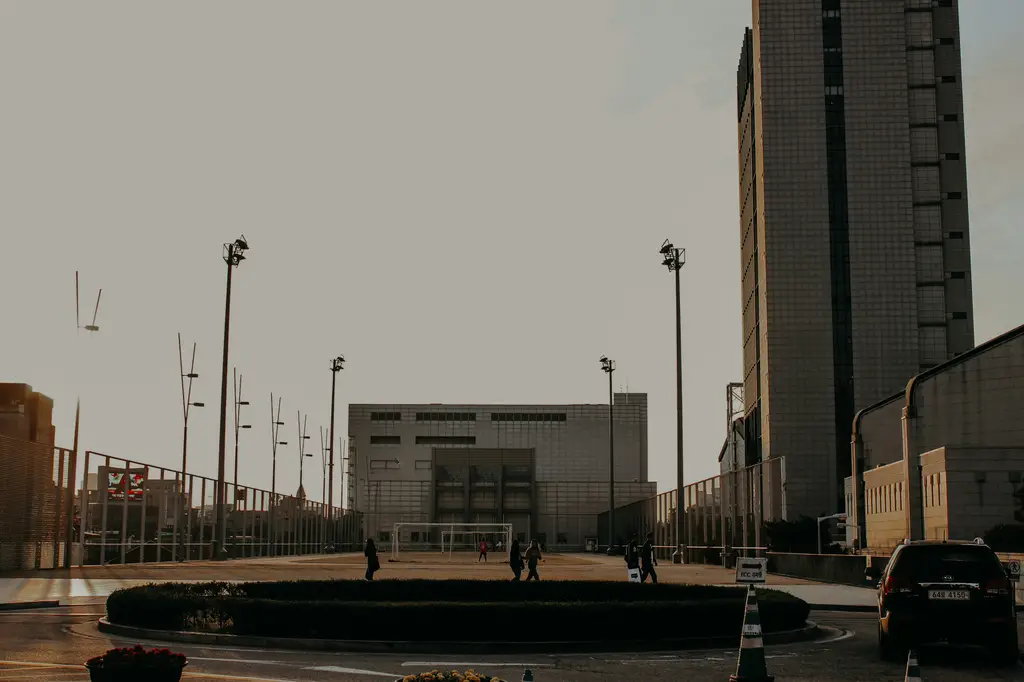 釜山5日逍遙遊：探索南韓港都的迷人魅力