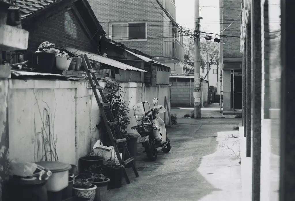 釜山BlueLinePark：沿著鐵道漫步，探索城市魅力